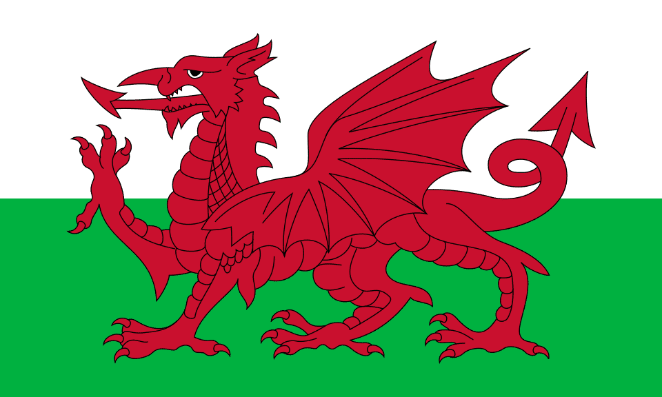 https://skybin.sirv.com/flag/Flag_of_Wales.svg%20(1).png